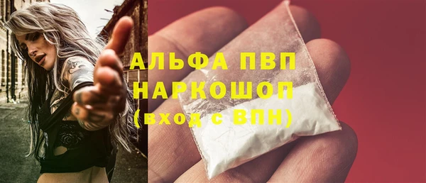 ECSTASY Богородицк
