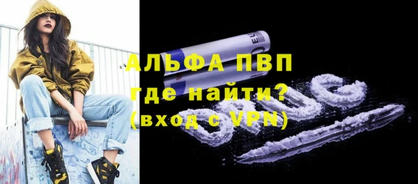 твердый Богданович