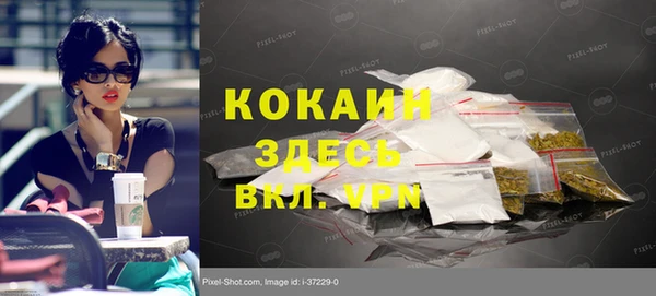 молекула духа Бородино