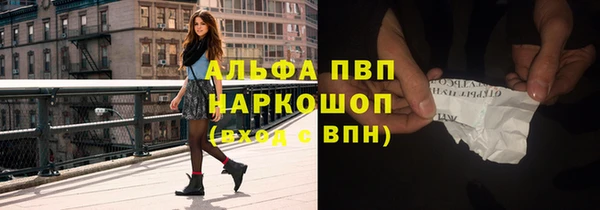 твердый Богданович