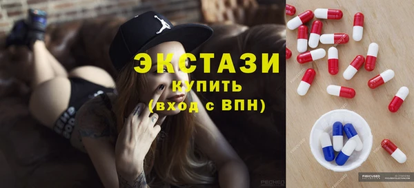ECSTASY Богородицк