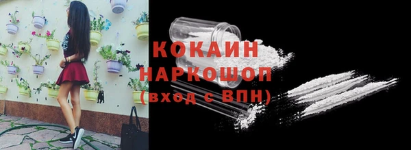 ECSTASY Богородицк